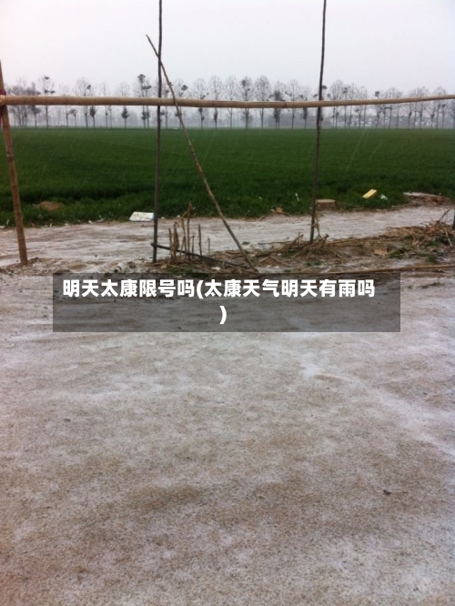 明天太康限号吗(太康天气明天有雨吗)