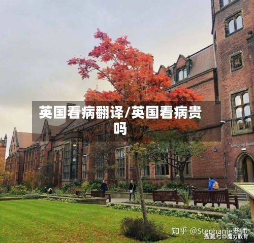 英国看病翻译/英国看病贵吗