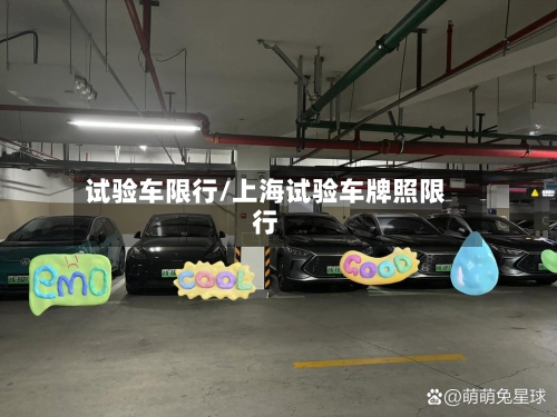 试验车限行/上海试验车牌照限行