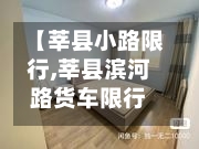 【莘县小路限行,莘县滨河路货车限行时间】-第2张图片