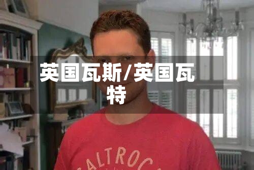 英国瓦斯/英国瓦特