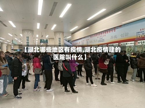 【湖北哪些地区有疫情,湖北疫情建的医院叫什么】-第3张图片