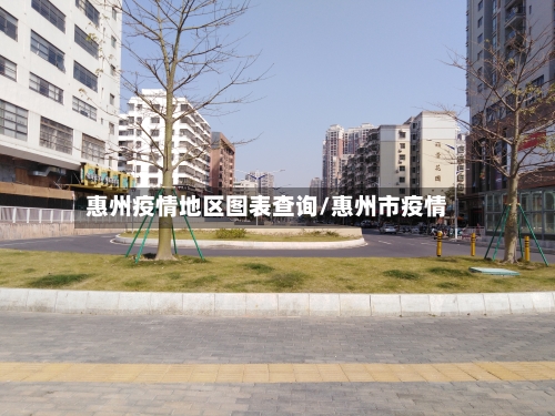 惠州疫情地区图表查询/惠州市疫情-第2张图片