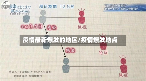 疫情最新爆发的地区/疫情爆发地点