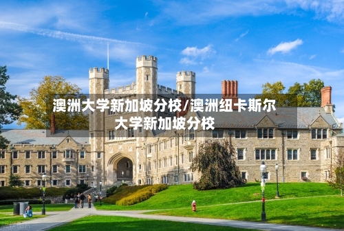 澳洲大学新加坡分校/澳洲纽卡斯尔大学新加坡分校