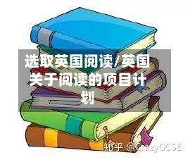 选取英国阅读/英国关于阅读的项目计划