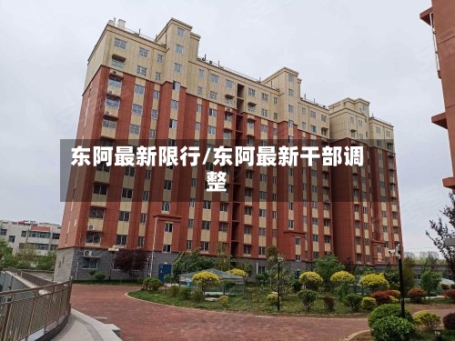 东阿最新限行/东阿最新干部调整