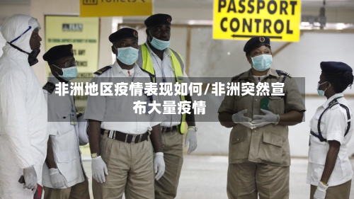 非洲地区疫情表现如何/非洲突然宣布大量疫情-第2张图片
