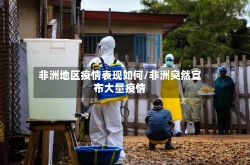 非洲地区疫情表现如何/非洲突然宣布大量疫情-第3张图片