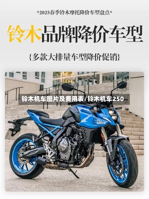 铃木机车图片及费用表/铃木机车250-第2张图片