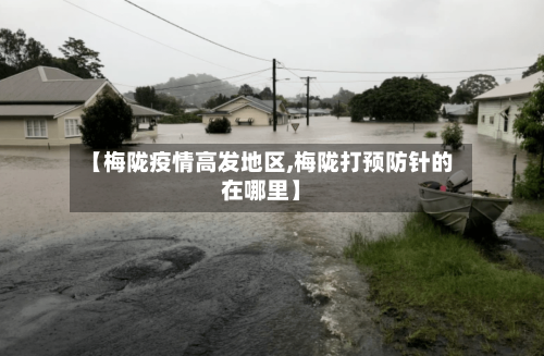 【梅陇疫情高发地区,梅陇打预防针的在哪里】-第3张图片