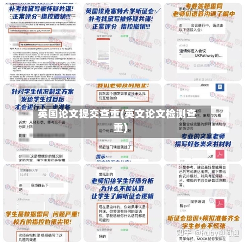 英国论文提交查重(英文论文检测查重)