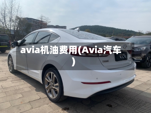 avia机油费用(Avia汽车)-第2张图片