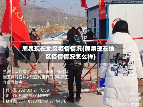 鹿泉现在地区疫情情况(鹿泉现在地区疫情情况怎么样)-第3张图片