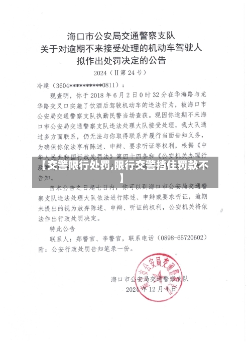 【交警限行处罚,限行交警挡住罚款不】-第2张图片