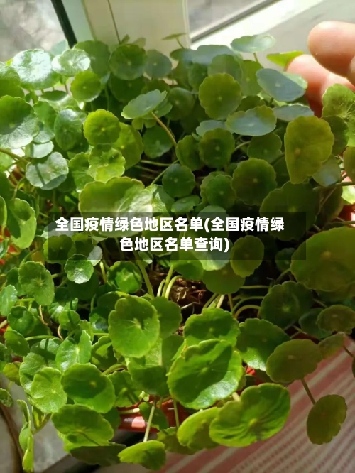 全国疫情绿色地区名单(全国疫情绿色地区名单查询)-第2张图片
