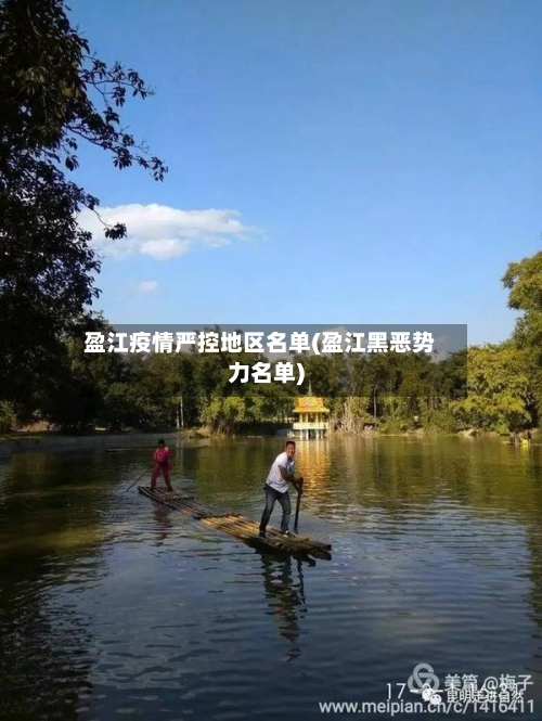 盈江疫情严控地区名单(盈江黑恶势力名单)-第3张图片