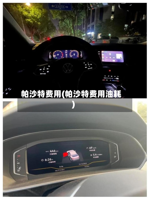 帕沙特费用(帕沙特费用油耗)-第2张图片