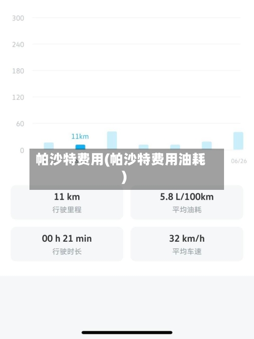帕沙特费用(帕沙特费用油耗)