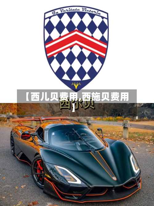 【西儿贝费用,西施贝费用】