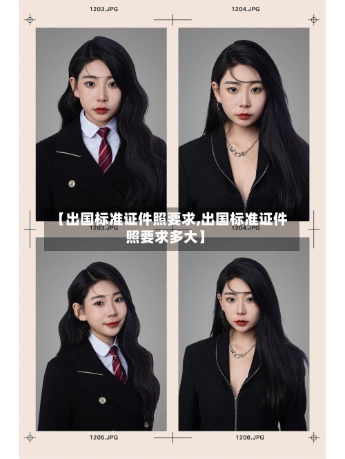 【出国标准证件照要求,出国标准证件照要求多大】