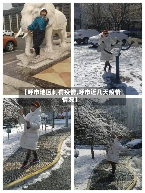 【呼市地区刺猬疫情,呼市近几天疫情情况】