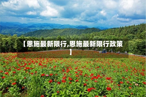 【恩施最新限行,恩施最新限行政策】