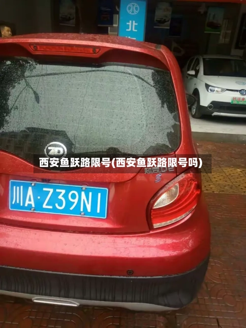 西安鱼跃路限号(西安鱼跃路限号吗)-第2张图片