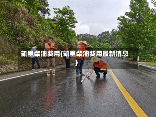 凯里柴油费用(凯里柴油费用最新消息)-第3张图片