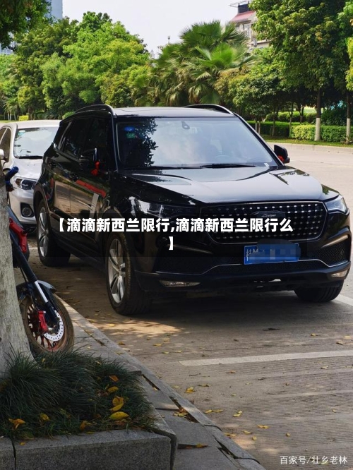 【滴滴新西兰限行,滴滴新西兰限行么】