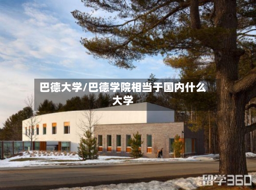 巴德大学/巴德学院相当于国内什么大学