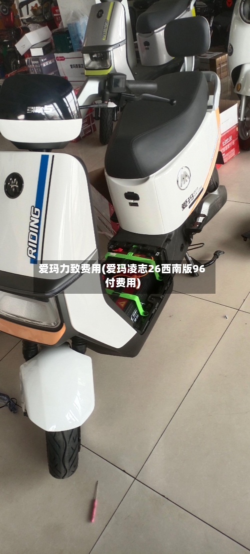 爱玛力致费用(爱玛凌志26西南版96付费用)-第2张图片