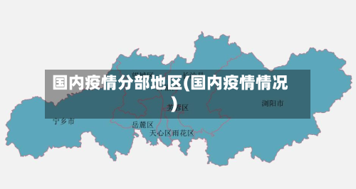 国内疫情分部地区(国内疫情情况)