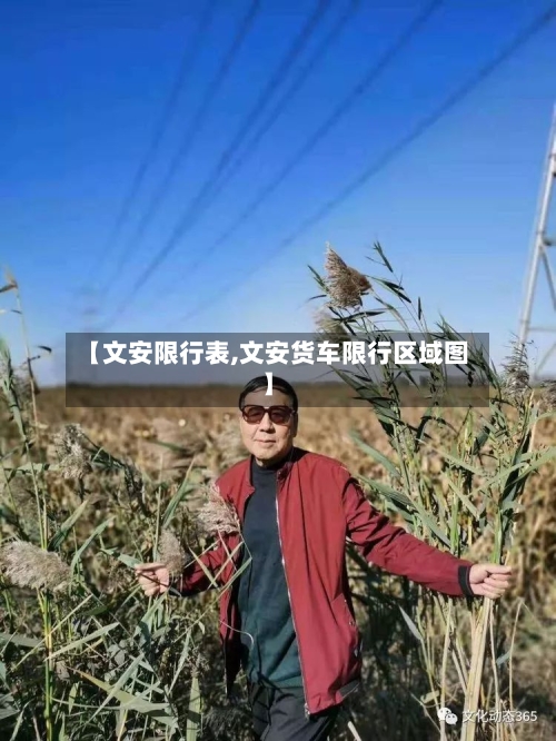【文安限行表,文安货车限行区域图】-第2张图片