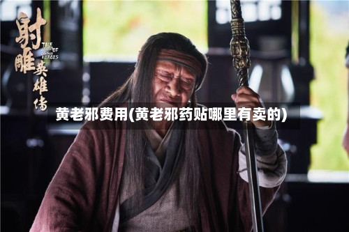黄老邪费用(黄老邪药贴哪里有卖的)-第3张图片