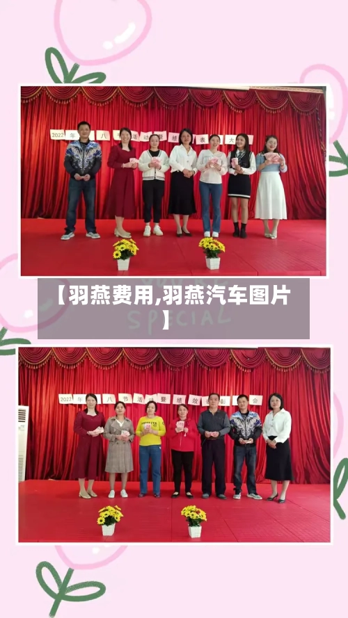 【羽燕费用,羽燕汽车图片】