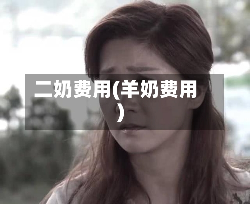 二奶费用(羊奶费用)