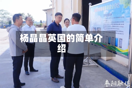 杨晶晶英国的简单介绍