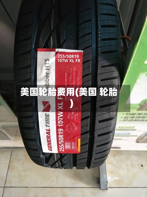 美国轮胎费用(美国 轮胎)