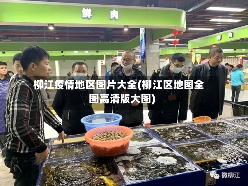 柳江疫情地区图片大全(柳江区地图全图高清版大图)