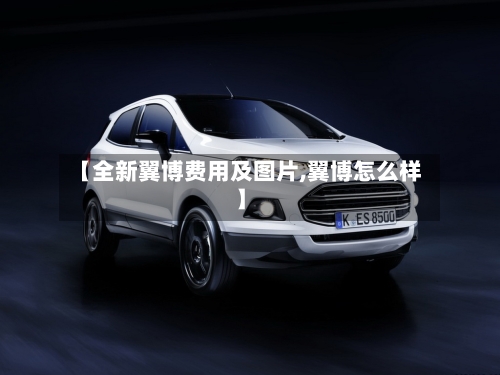 【全新翼博费用及图片,翼博怎么样】-第2张图片