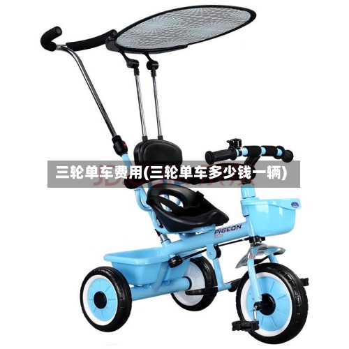 三轮单车费用(三轮单车多少钱一辆)