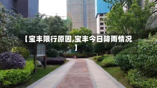 【宝丰限行原因,宝丰今日降雨情况】-第3张图片