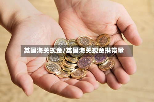 英国海关现金/英国海关现金携带量-第2张图片