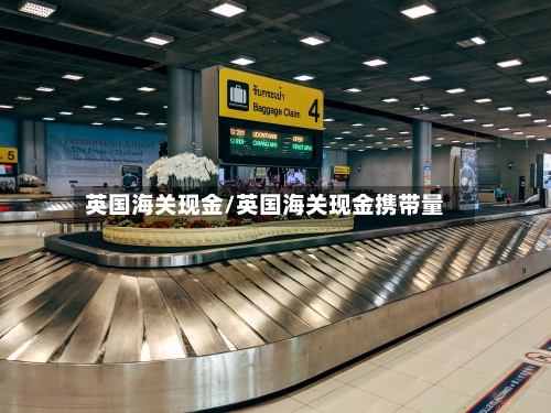 英国海关现金/英国海关现金携带量-第3张图片