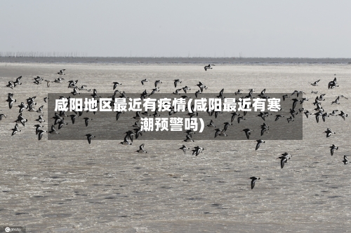 咸阳地区最近有疫情(咸阳最近有寒潮预警吗)-第2张图片