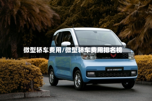 微型轿车费用/微型轿车费用排名榜