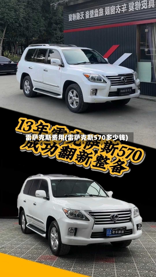 雷萨克斯费用(雷萨克斯570多少钱)