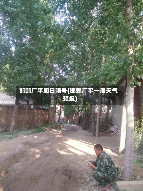 邯郸广平周日限号(邯郸广平一周天气预报)