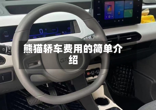 熊猫轿车费用的简单介绍